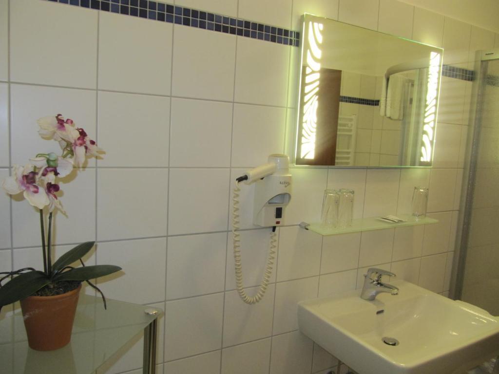 לינה וארוחת בוקר גולינג אן דר זלצאך Goldener Ochs מראה חיצוני תמונה